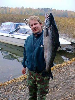 Freshwater salmon Trolling on Lakes 