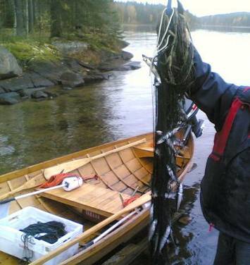 Vendace Net Fishing on Lakes:   width=