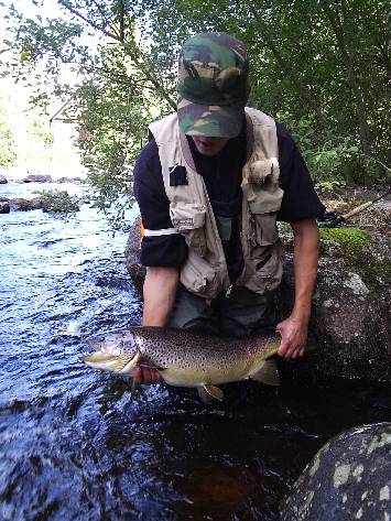 Brown trout Fly Fishing on runnig waters: Huopanankoski Rapids (Brown trout 76 cm)  width=