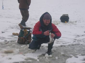 Perch Ice fishing on Lakes:   width=