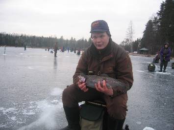 Rainbow trout Ice fishing on Lakes 