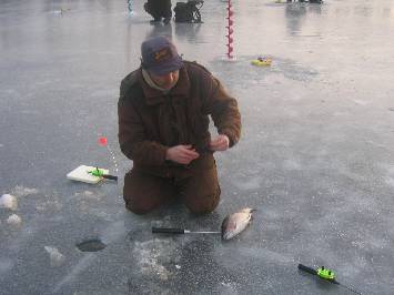 Rainbow trout Ice fishing on Lakes 