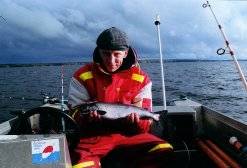 Brown trout Trolling on Lakes: Hilmonjoki Rapids  width=