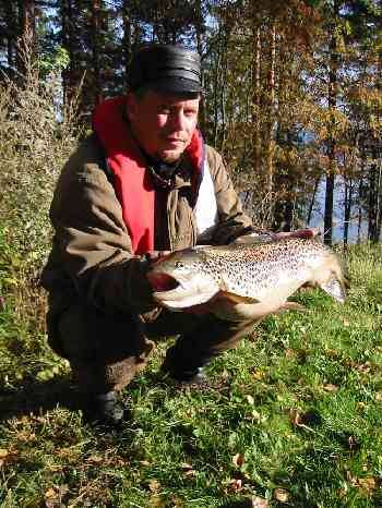 Brown trout Trolling on Lakes: Lake P�ij�nne  width=