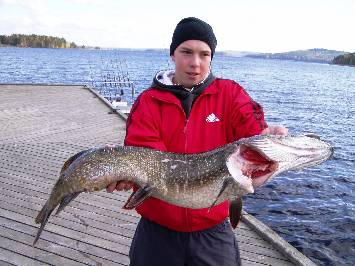 Pike Trolling on Lakes: Lake Päijänne  width=