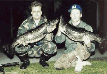 Brown trout Spinning on runnig waters: Kitkajoki Rapids (Brown trouts 6,0 kg and 7,8 kg)  width=