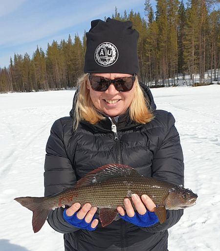 Picture of finnish grayling-in-finland fishing