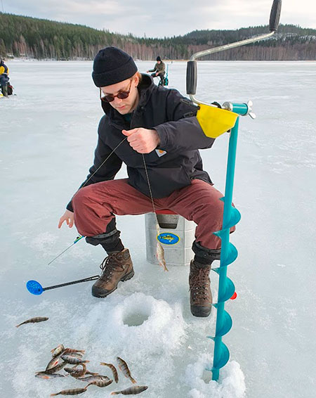 Picture of The ice fishing season begins in winter when lakes freeze. Hundreds of lakes in Central Finland offer excellent possibilities for ice fishing.

<p>You need a rod and a jig for ice fishing. A seat and a sludge ladle are also important, as well as warm clothes. You will also need an ice drill if you don't want to use old ice holes.
 
<p>
Perch, roach and powan are the most usual catches when ice fishing.The middle of winter it is excellent season to fish burbot, and late winter is good time to fish pike.


When you want to ice fish you have to drill a hole or it is also possible to use old holes. You should either move actively or fish from the same hole for a long time, depending on the type of fish you're trying to catch.
 
The jigging technique is different with different jigs. An upright jig with an chironomid larva or fly larva as a bite is lowered about 30 cm above the bottom, after which you have to lift the jig about 0,5 metres up a couple of times. This makes the jig move attractively. Next you have to hold the jig in the same place for a moment and follow the point of the rod or line to see if fish bite on the jig. If a fish bites on it,  you have to strike upwards and pull the fish out through the hole on to the ice. After you have released the fish back you have to check your bite and lower the jig back into water as soon as possible. If fish do not bite, you have to lift the jig up again a couple of times and wait again for a while.  An upright jig imitates a small fish.

<p>A jig swims attractively and in balance and it is usually used without a bait. It is useful to familiarize yourself with the way how the jig swims by jigging near the hole and following the motion of the jig. Jigging is started near the bottom. You should hold the jigger in the same place for a moment and wait for a bite after a couple of lifts. If a fish bites you have to strike and pull the fish on the ice from the line. If the fish escapes, you should raise the lure about 30 cm and make new attractive motions and wait for another bite. Especially perch can follow the jigger directly under the ice and then bite. if you loose contact with fish you should begin the jigging again near the bottom.

<p>The third general jigging method is to fish with a so called 